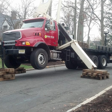 TREE-TECH Specials